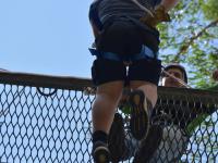 亿万28-Scout连续五场比赛得分超过大胜，澳大利亚队挑战极限！的简单介绍